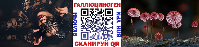 Псилоцибиновые грибы Psilocybine cubensis  Купить где  Холм 